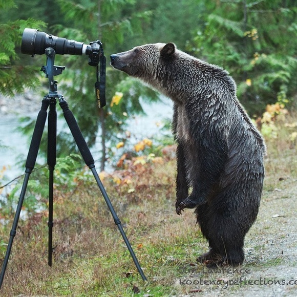 Check this out!!!! - Picture 1 of 2